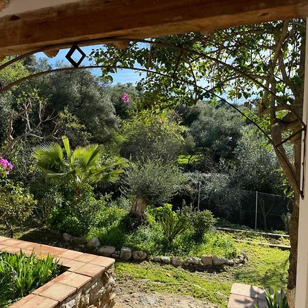 La Fontana Villa Cortes de la Frontera Luaran gambar