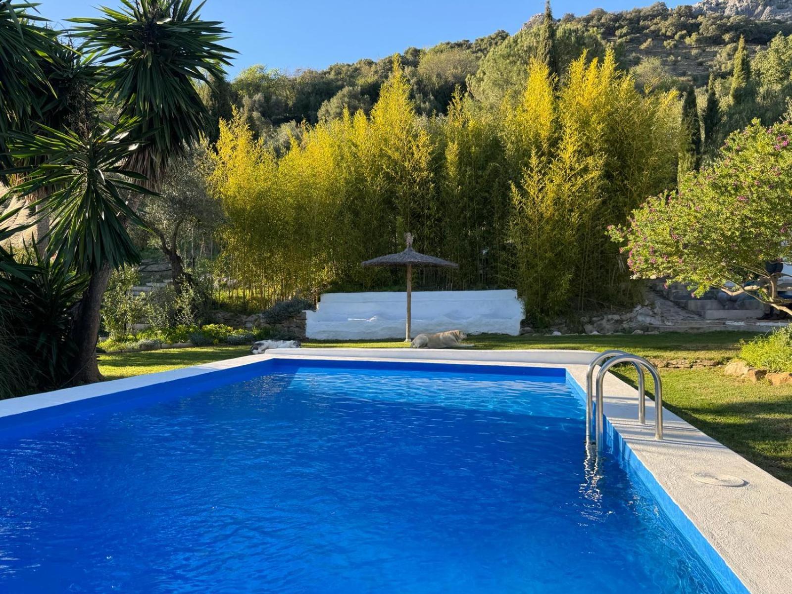 La Fontana Villa Cortes de la Frontera Luaran gambar