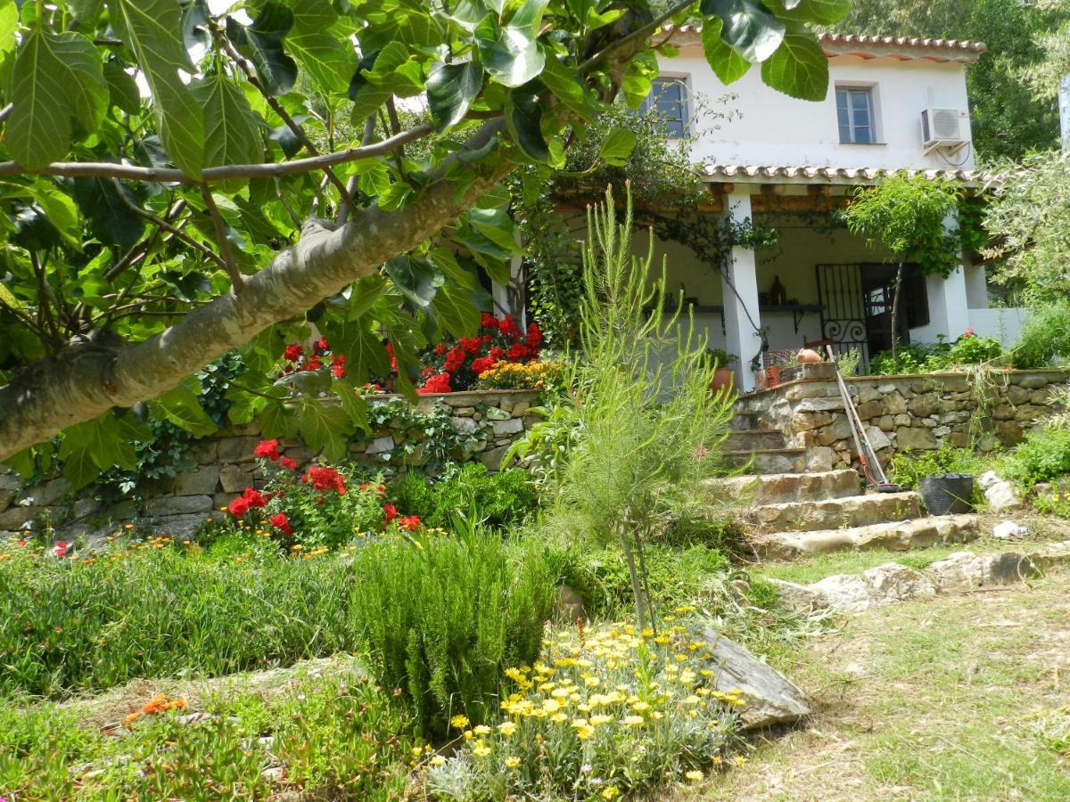La Fontana Villa Cortes de la Frontera Luaran gambar