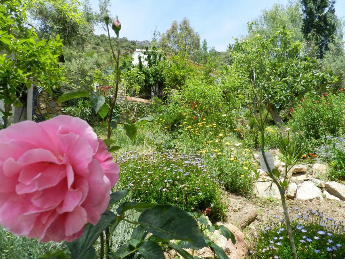 La Fontana Villa Cortes de la Frontera Luaran gambar