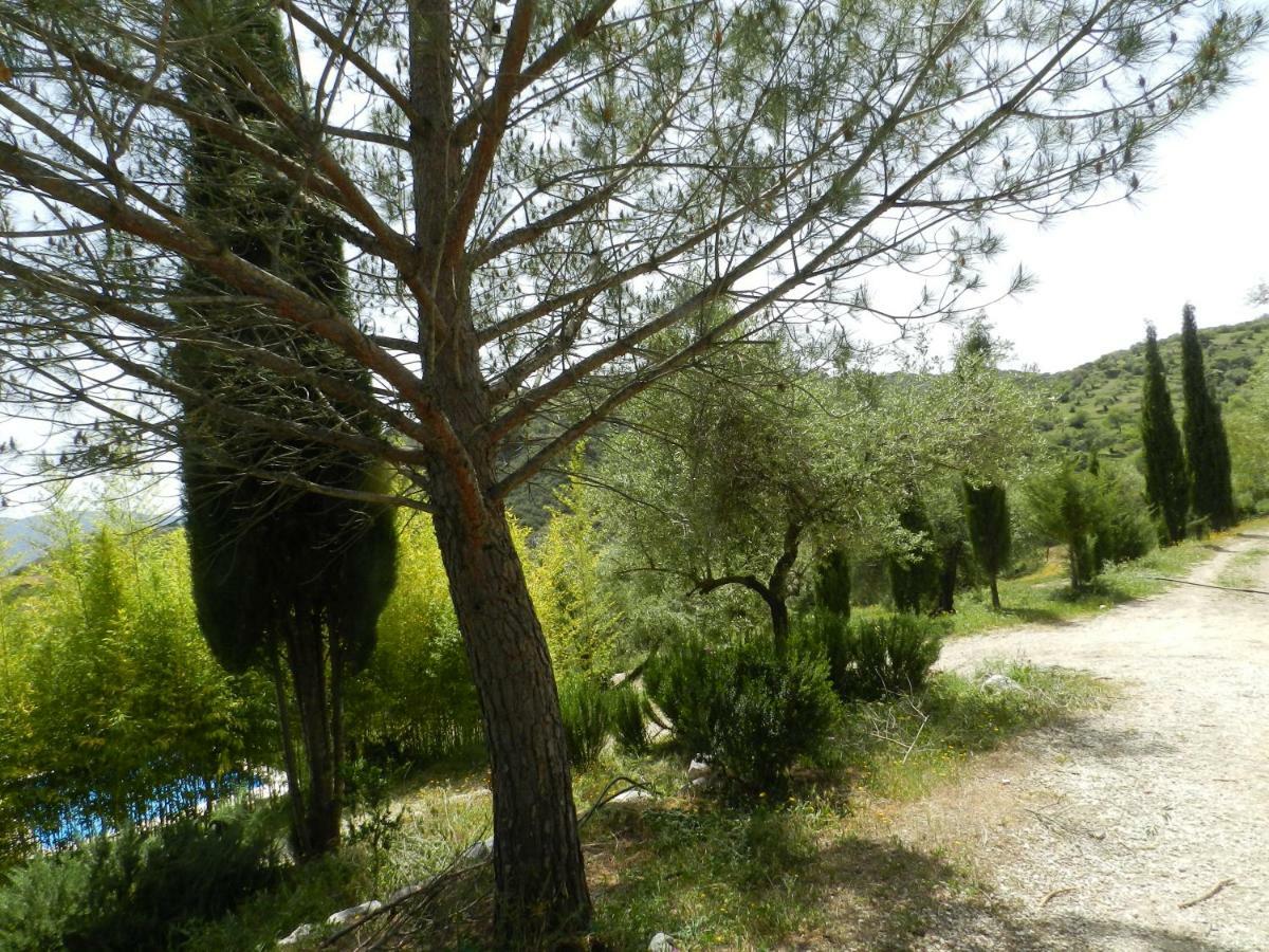 La Fontana Villa Cortes de la Frontera Luaran gambar