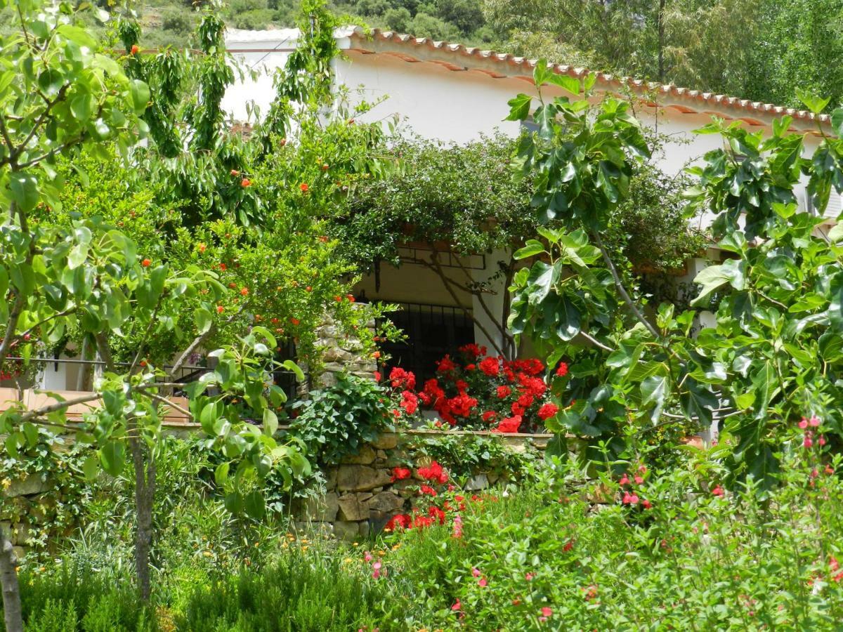 La Fontana Villa Cortes de la Frontera Luaran gambar